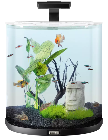 Tetra AquaArt LED Line explorer, color negro, decorada con plantas, mesa y muchos elementos decorativos