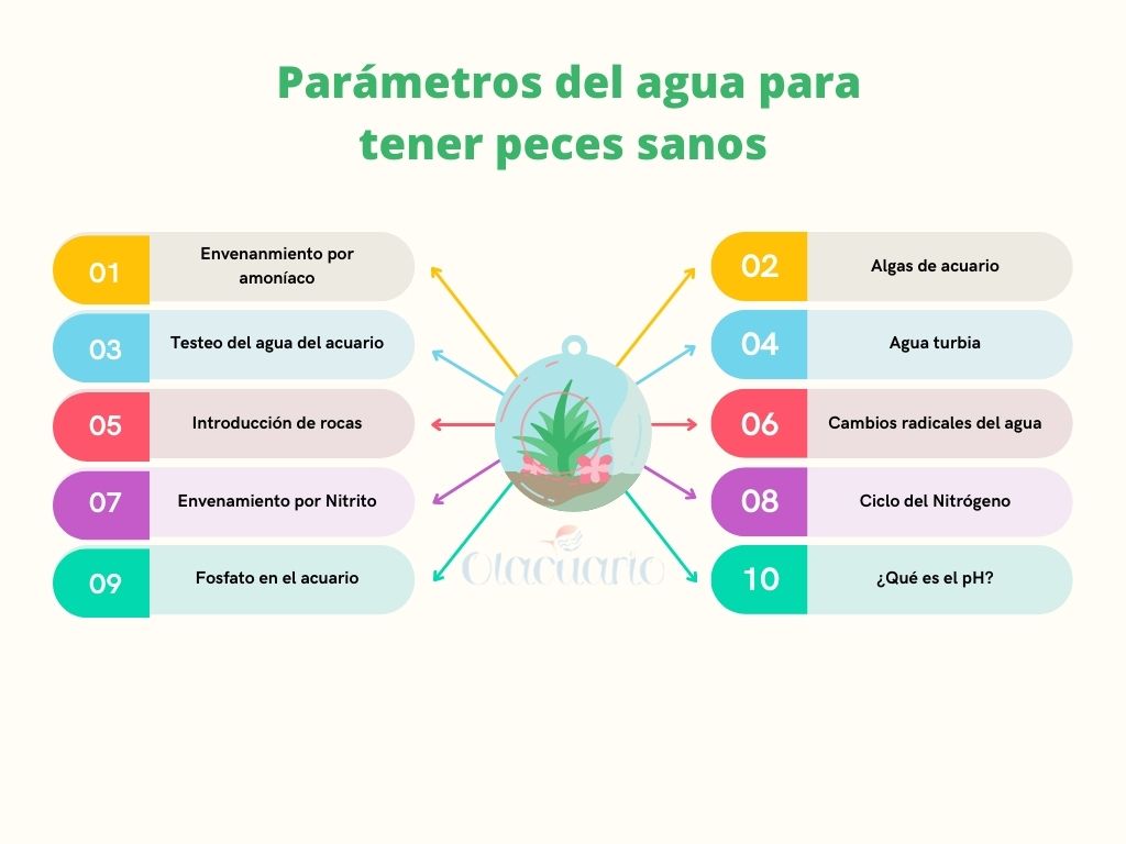 Parámetros del Agua para Mantener Peces Sanos - Olacuario