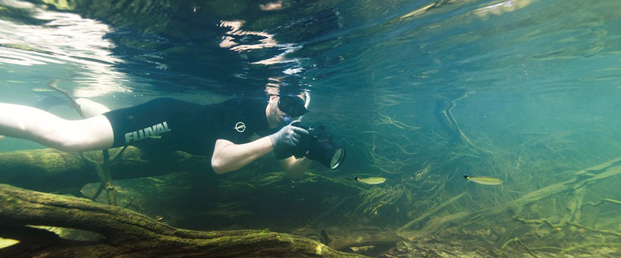 1. Persona bajo el agua fotografiando peces