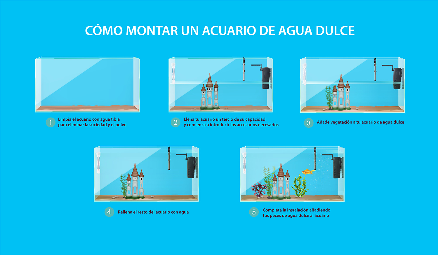infografía cómo montar un acuario