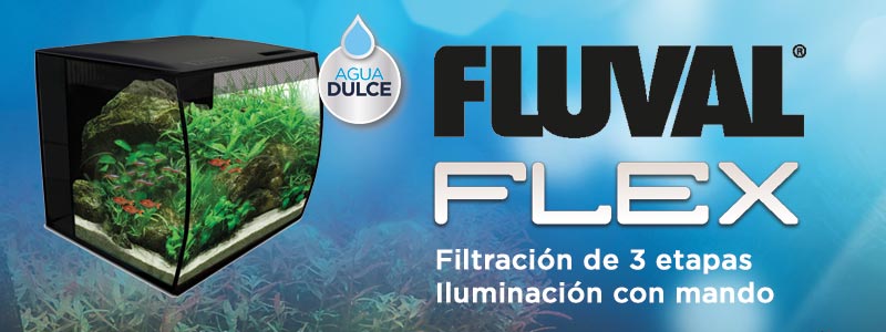 filtración 3 etapas acuario agua dulce